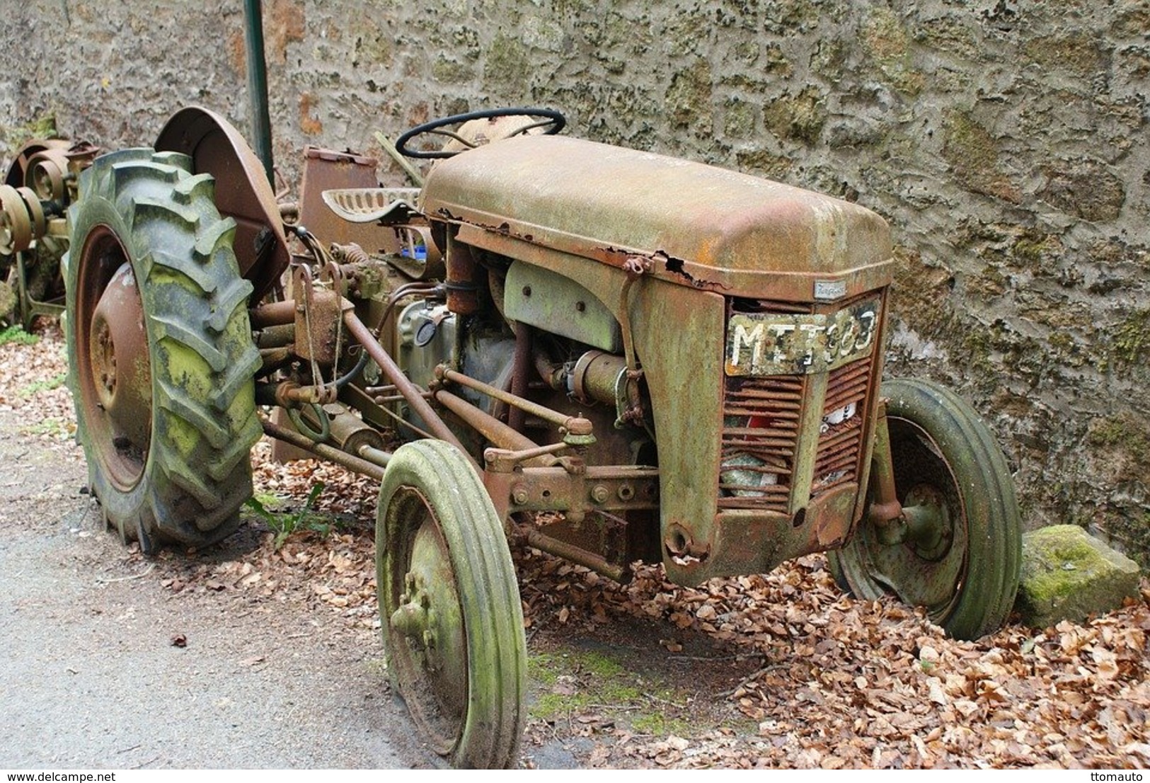 Ferguson Tracteur Ancien  -  15x10cms PHOTO - Tracteurs