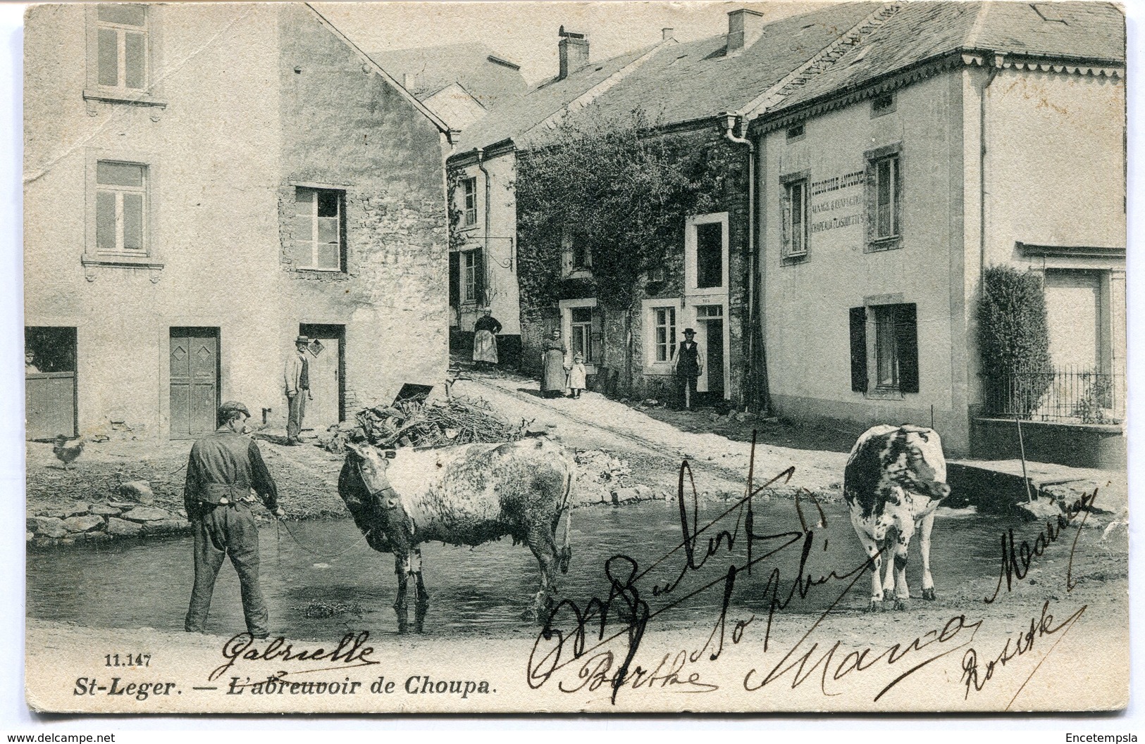 CPA - Cartes Postales - Belgique - Saint Léger - L'Abreuvoir De Choupa - 1905 ( I10623) - Saint-Léger