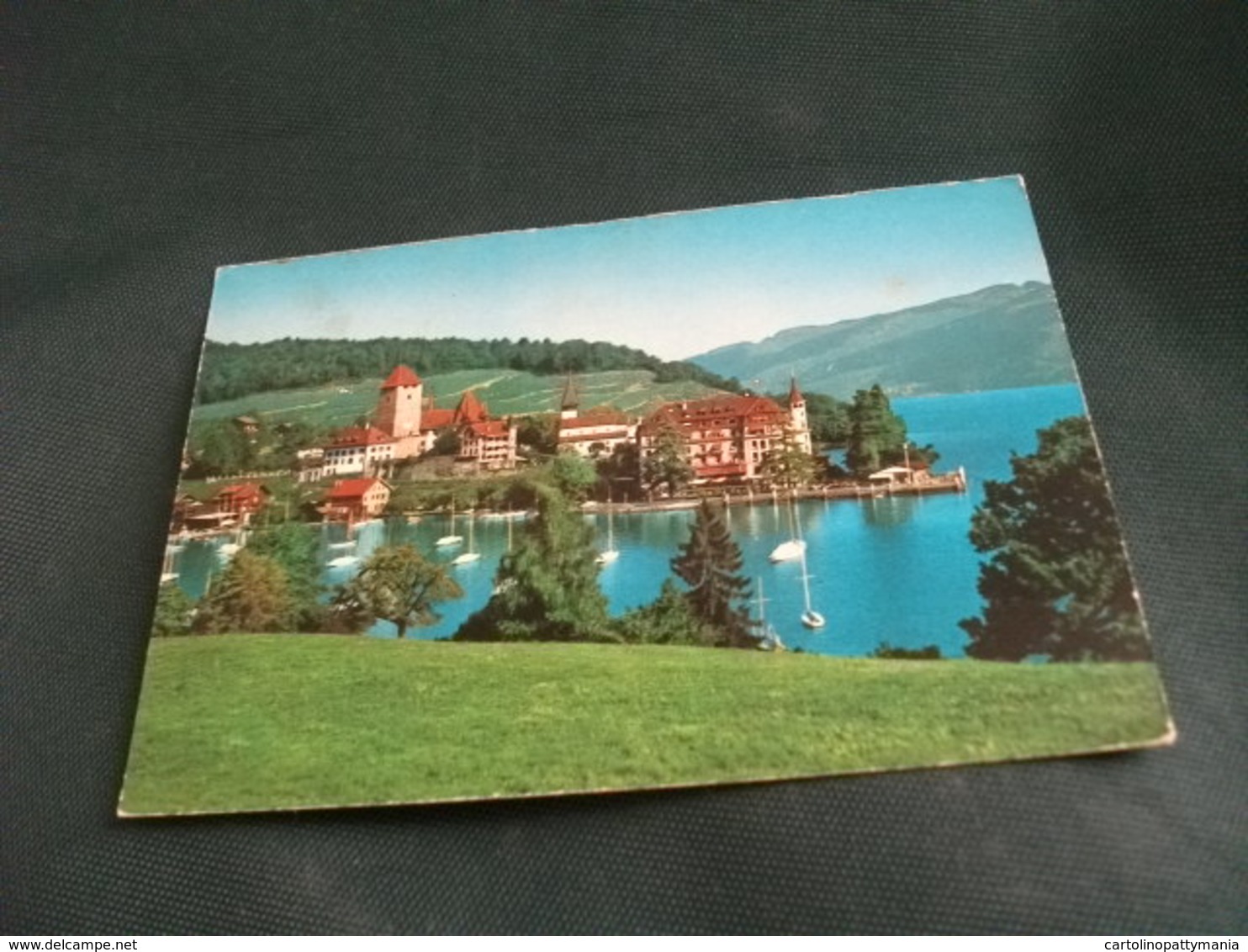 CASTELLO CASTLE  CHATEAU SCHLOSS  SPIEZ THUNERSEE SVIZZERA PIEGA ANG. - Castelli