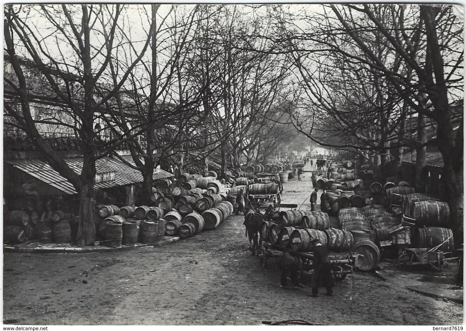 75 Paris  1900  Photo Desoye Bourg  La Halle Aux Vins - Non Classés