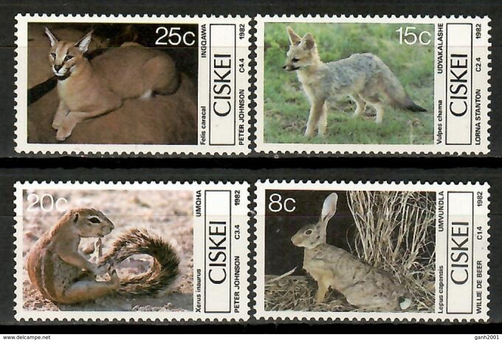 Ciskei 1982 / Animals Mammals MNH Fauna Mamíferos Säugetiere / Cu15202  41-10 - Otros & Sin Clasificación