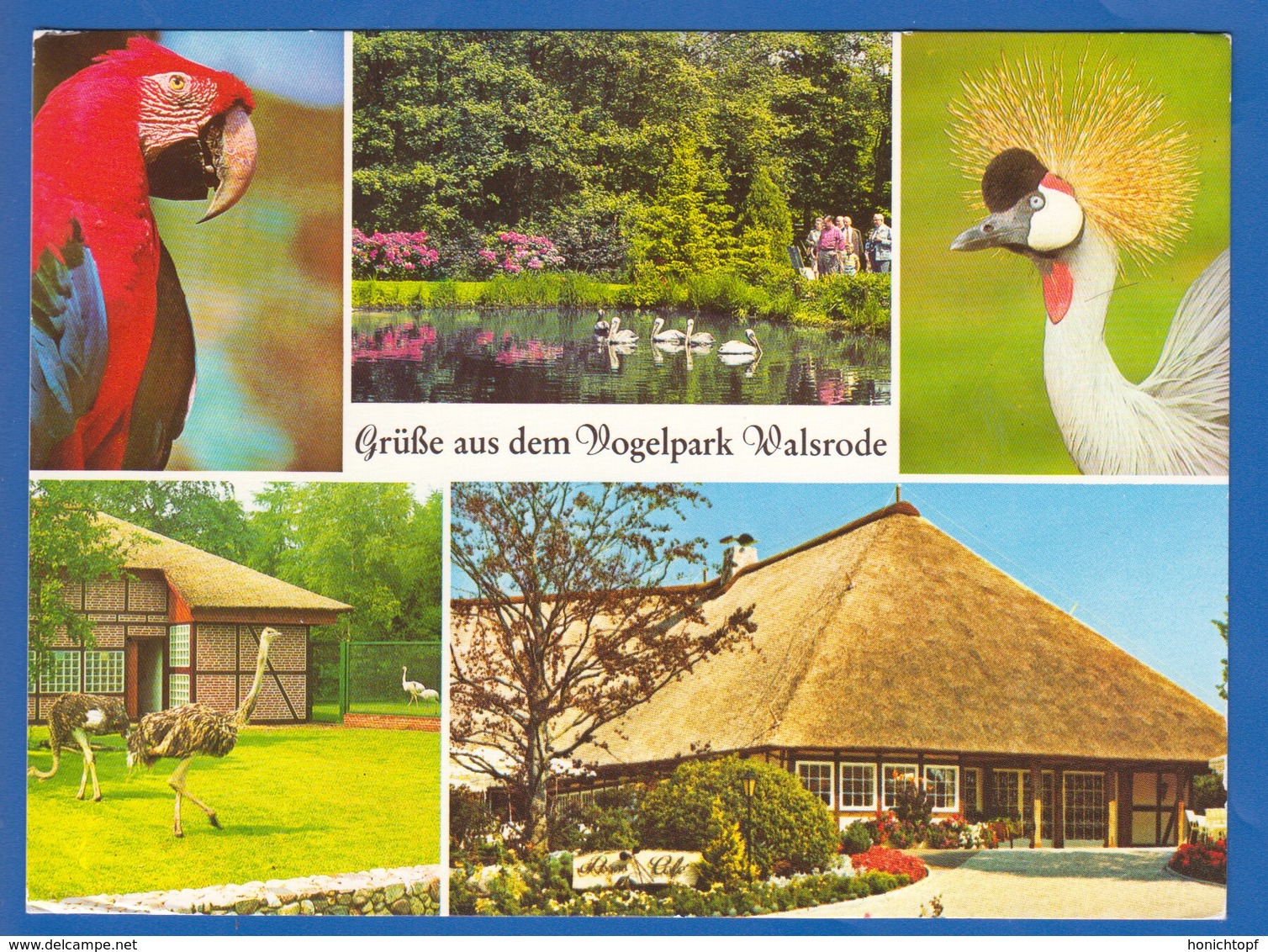 Deutschland; Walsrode; Lueneburger Heide; Vogelpark; Bild1 - Walsrode