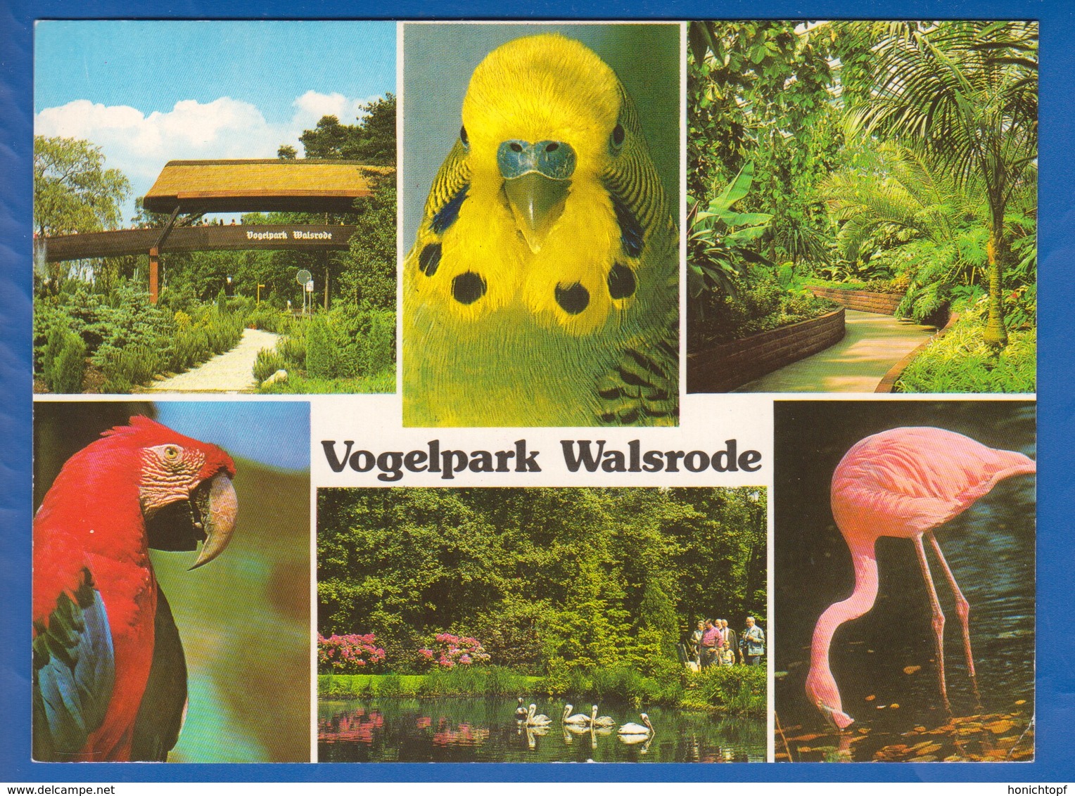 Deutschland; Walsrode; Lueneburger Heide; Vogelpark - Walsrode