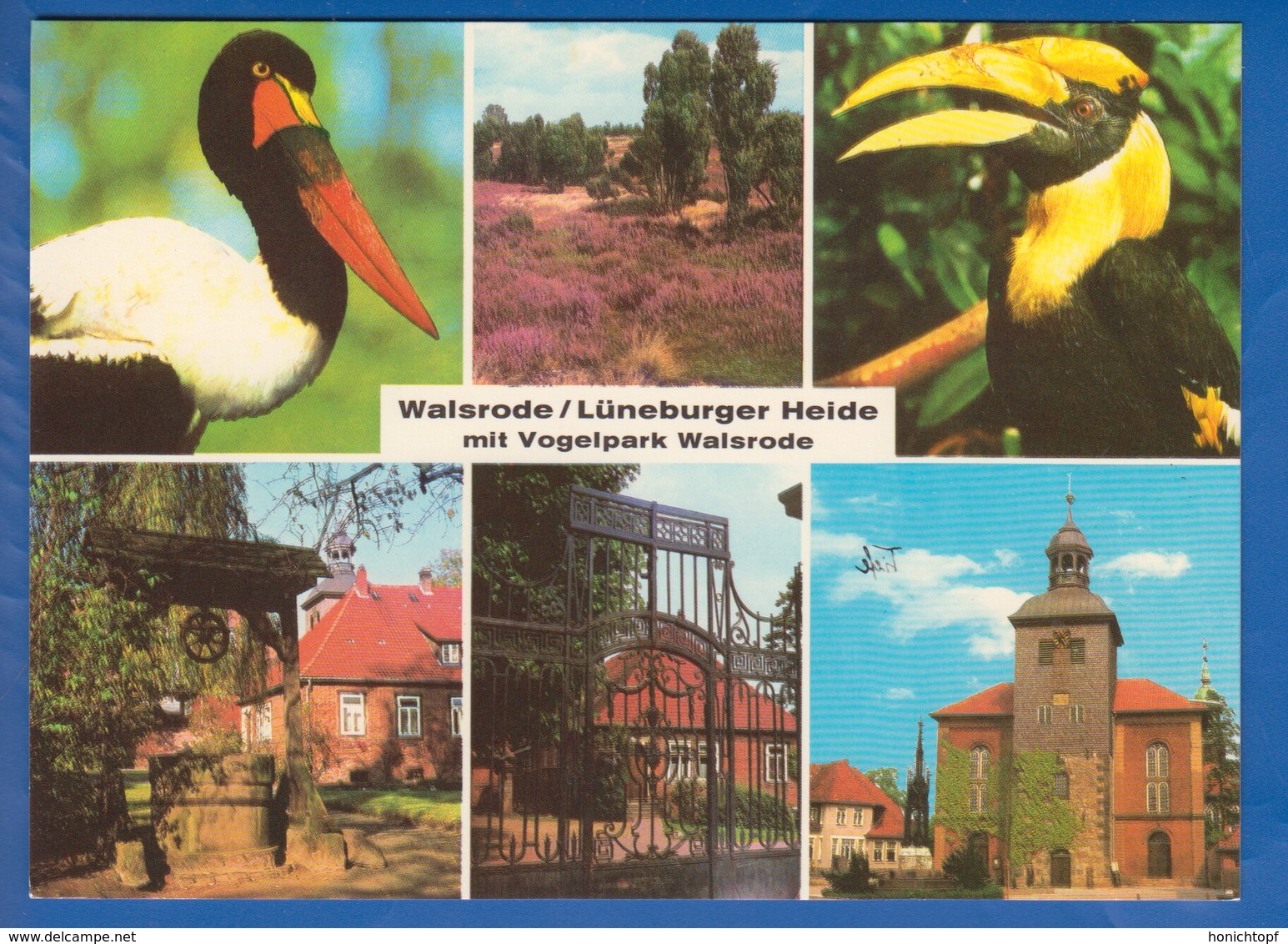 Deutschland; Walsrode; Lueneburger Heide; Vogelpark - Walsrode