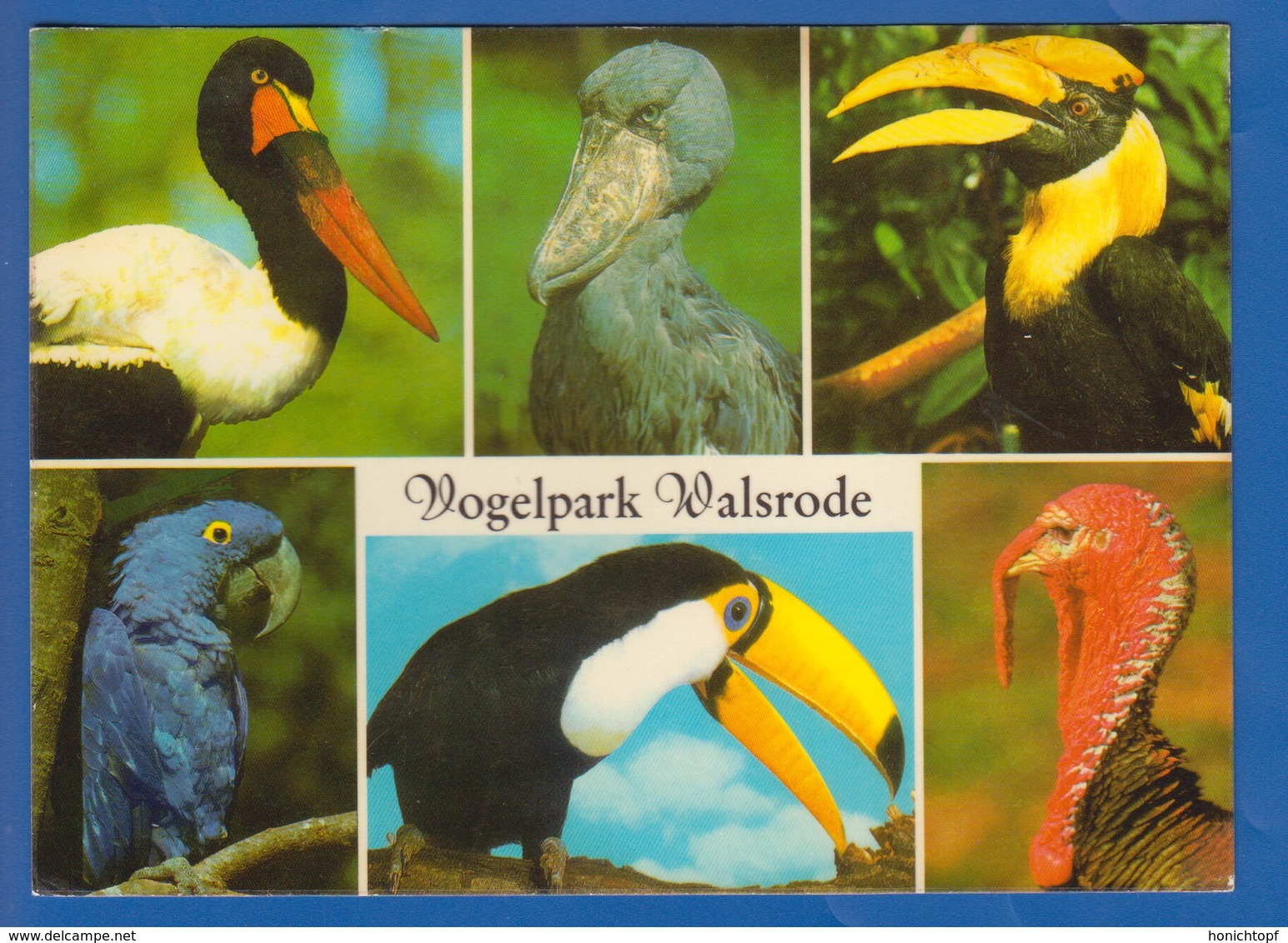 Deutschland; Walsrode; Lueneburger Heide; Vogelpark - Walsrode