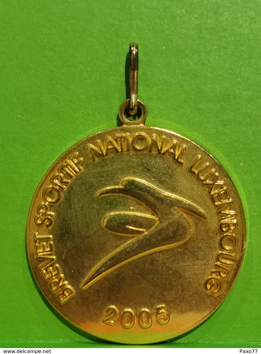 Luxembourg Médaille, Brevet Sportif National Luxembourg 2005 - Andere & Zonder Classificatie