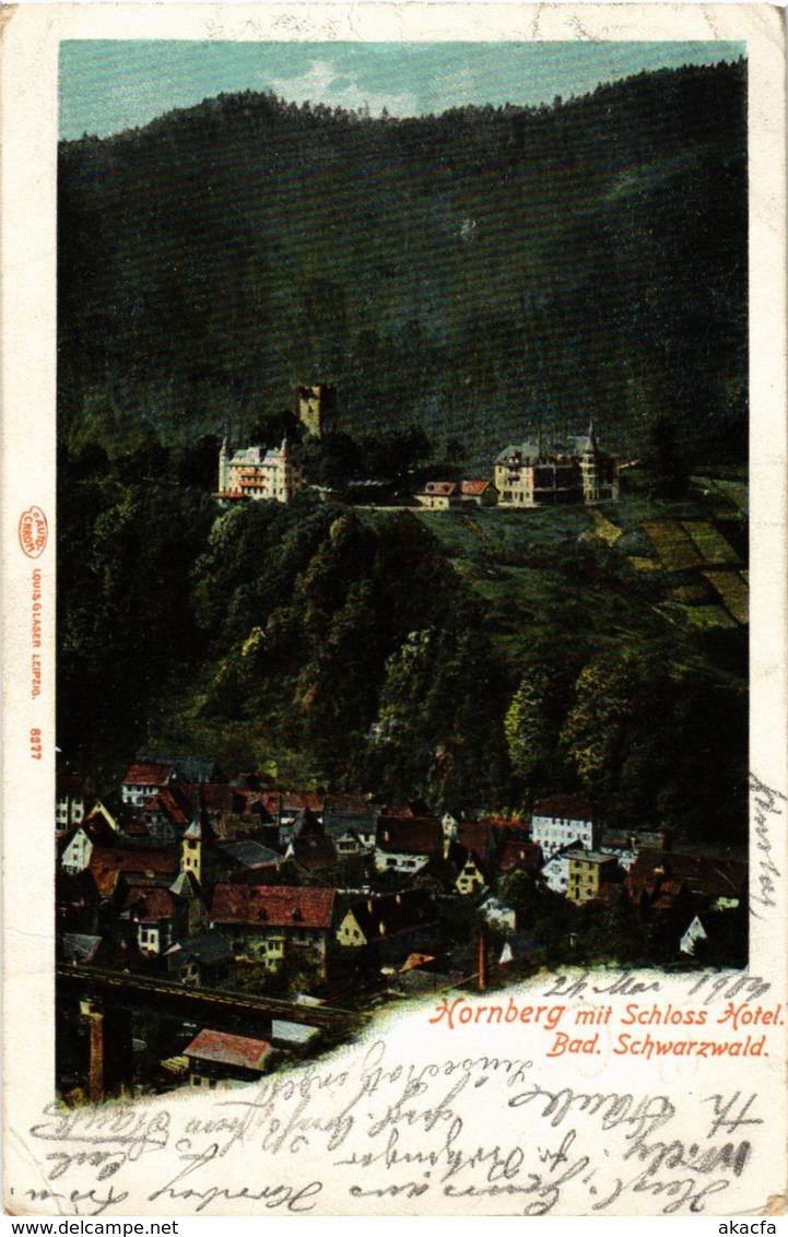 CPA AK Hornberg Mit Schloss Hotel GERMANY (934530) - Hornberg