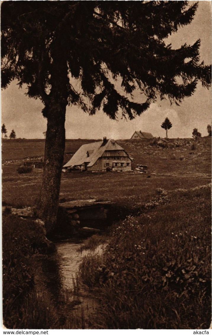 CPA AK Hornberg Bauernhaus Bei Schonwald GERMANY (934535) - Hornberg