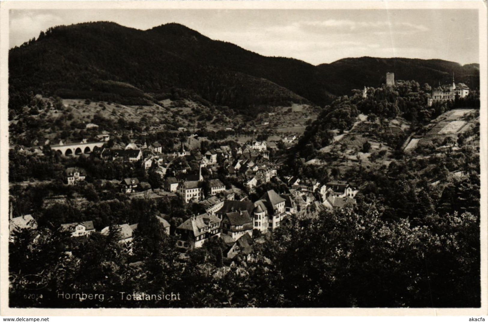 CPA AK Hornberg Totalansicht GERMANY (934561) - Hornberg