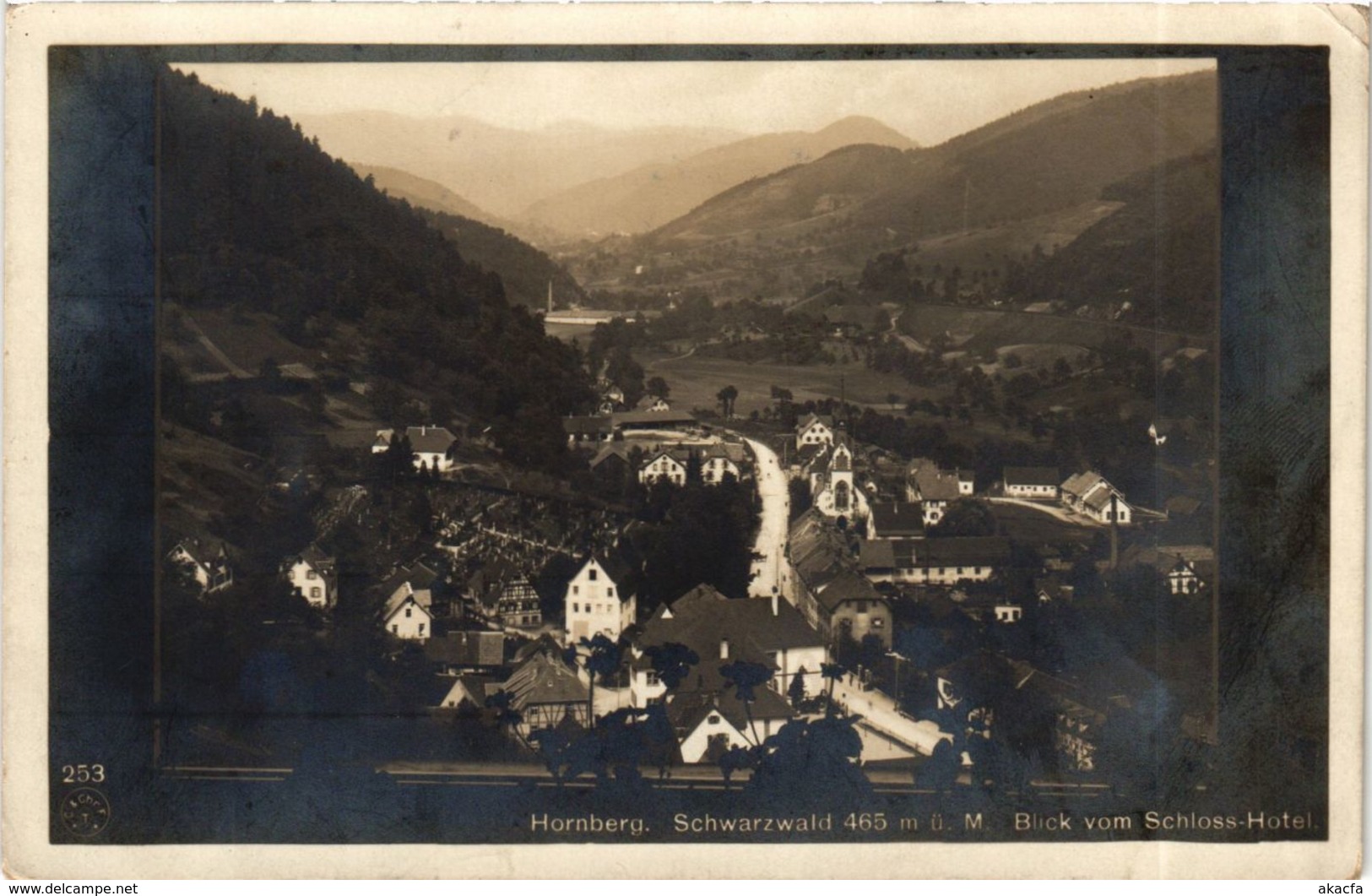 CPA AK Hornberg Blick Vom Schloss-Hotel GERMANY (934576) - Hornberg