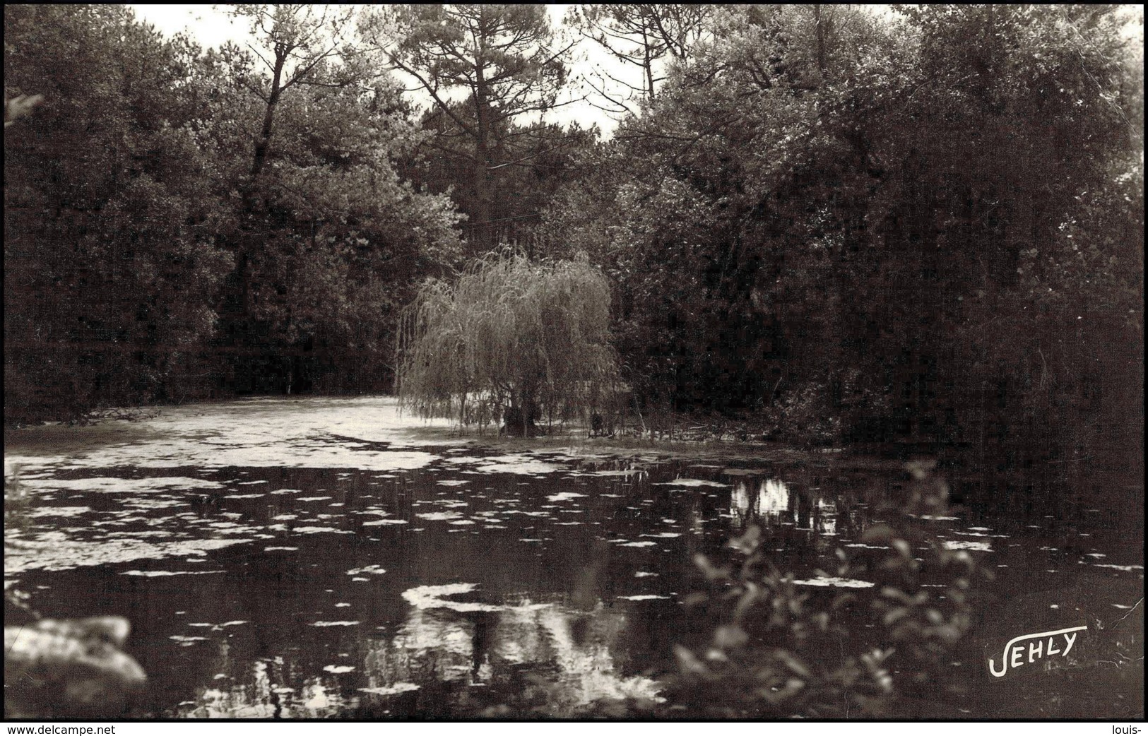 Saint Brévin ---La Mare Aux Fées CPM - Saint-Brevin-l'Océan