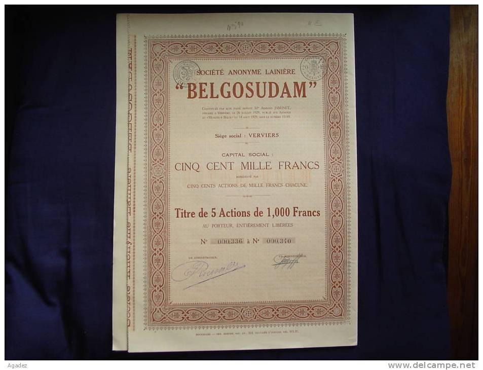 Titre De 5 Actions BELGOSUDAM 1929 S.Soc.Verviers. Excellent état - Textiel