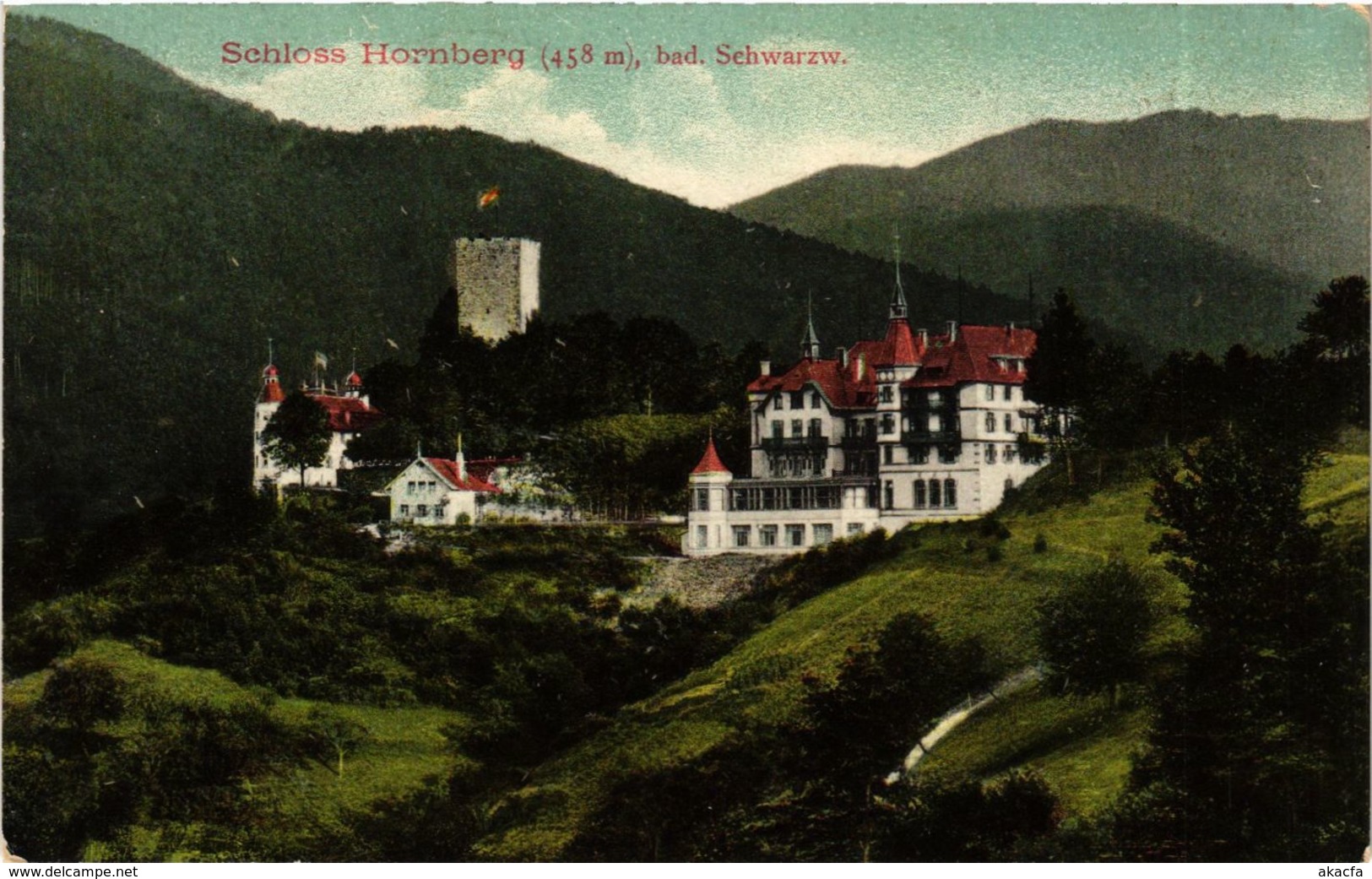 CPA AK Hornberg Schloss GERMANY (934617) - Hornberg