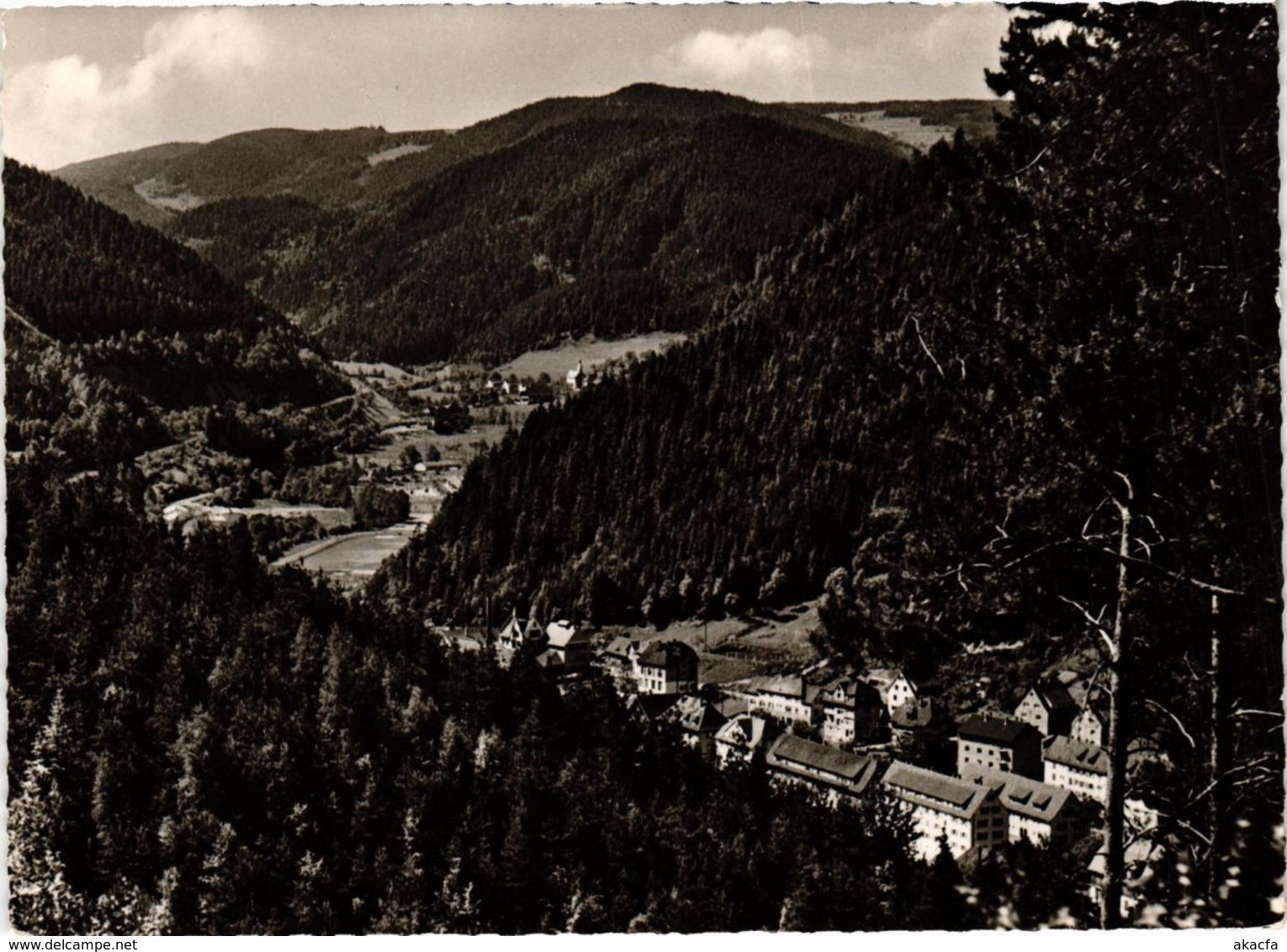 CPA AK Hornberg Blick Vom Buchenbronn GERMANY (934655) - Hornberg