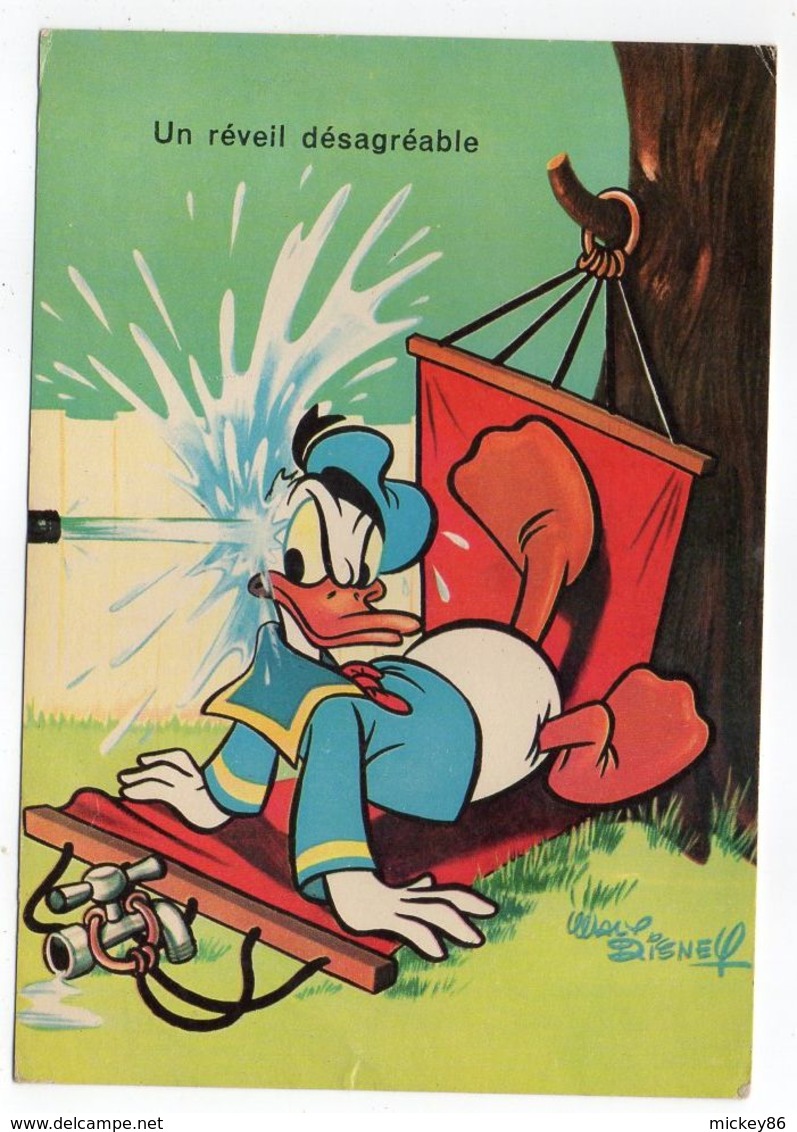 Disney -- 1965---Donald  "Un Réveil Désagréable "............à Saisir - Altri & Non Classificati