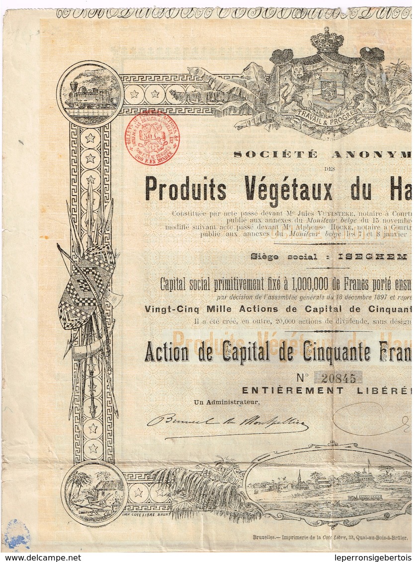 Ancienne Action Congolaise - Société Anonyme Des Produits Végétaux Du Haut-Kassaî - Titre De 1898 - Agriculture