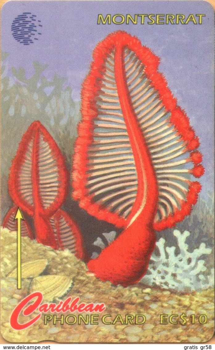 Montserrat - MON-10B, GPT, 10CMTB, Flowers Of The Sea - Sea Pen (Leioptilus Elegans), 10 EC$, 5.000ex. 1995, Used - Montserrat