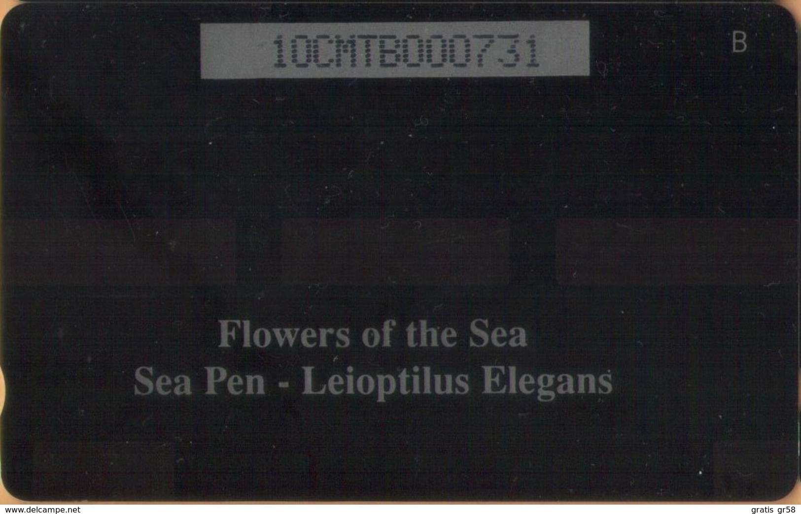 Montserrat - MON-10B, GPT, 10CMTB, Flowers Of The Sea - Sea Pen (Leioptilus Elegans), 10 EC$, 5.000ex. 1995, Used - Montserrat