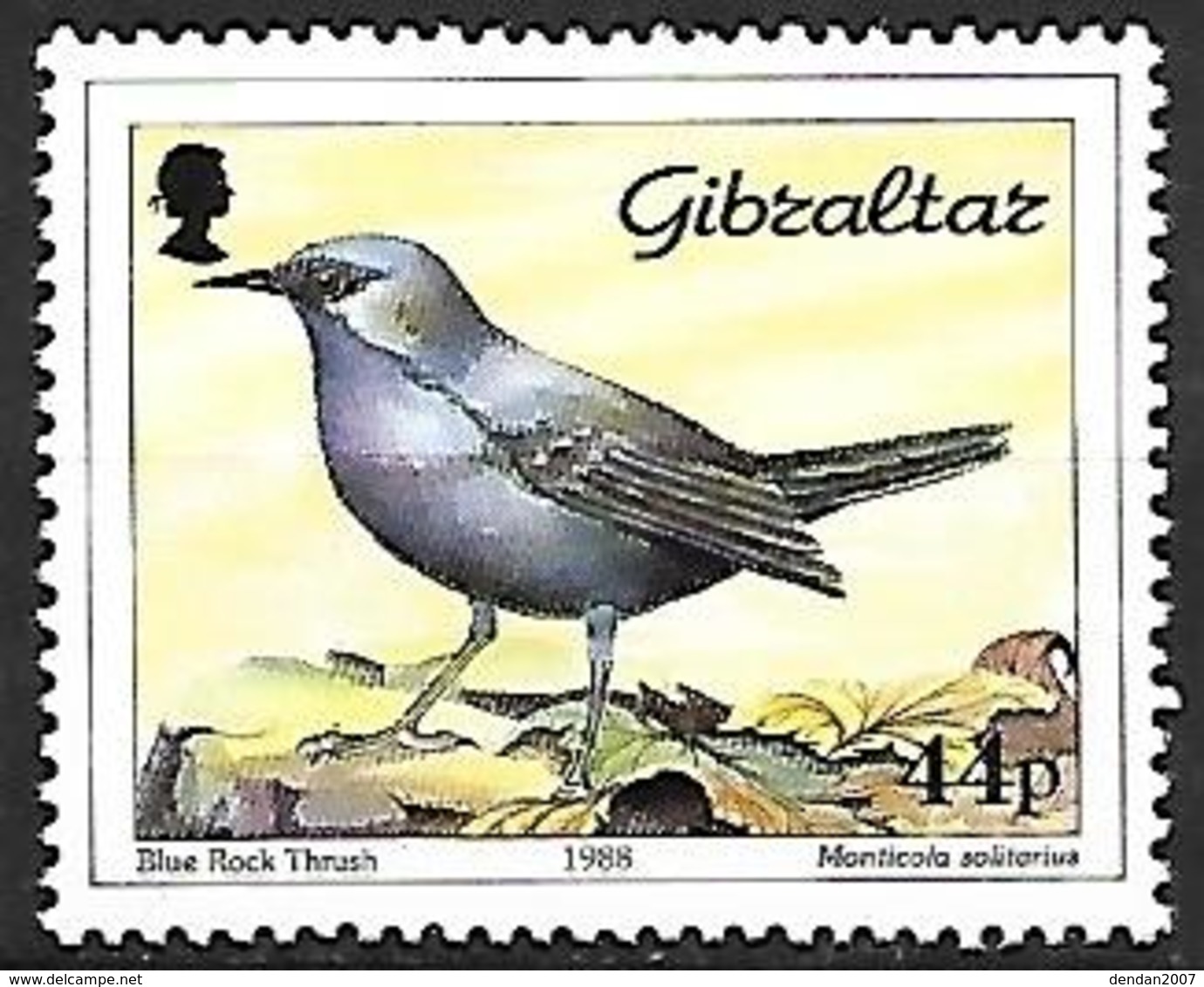 GIBRALTAR - MNH - 1988 :  Blue Rock Thrush  -  Monticola Solitarius - Passereaux