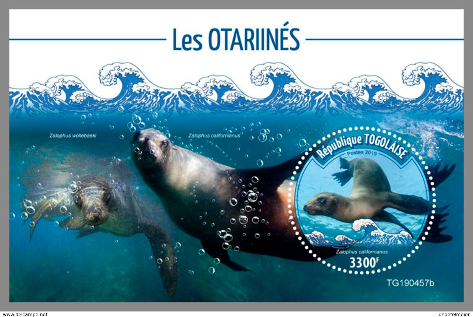 TOGO 2019 MNH Sea Lions Seelöwen Lions De Mer S/S - OFFICIAL ISSUE - DH1947 - Autres & Non Classés