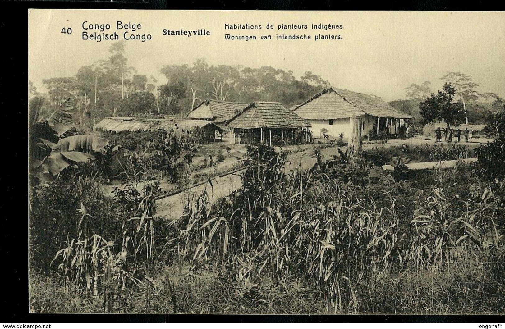 Carte N° 53. Vue 40.  Stanleyville : Habitations De Planteurs Indigènes  (carte Neuve) - Interi Postali