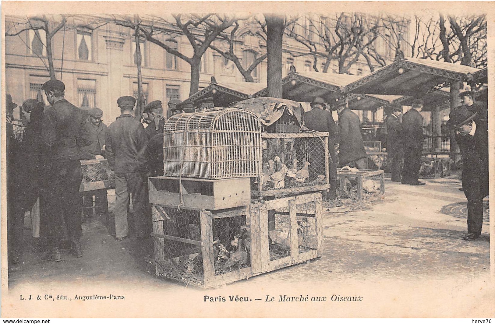 CPA PARIS Vécu - Le Marché Aux Oiseaux - Altri & Non Classificati