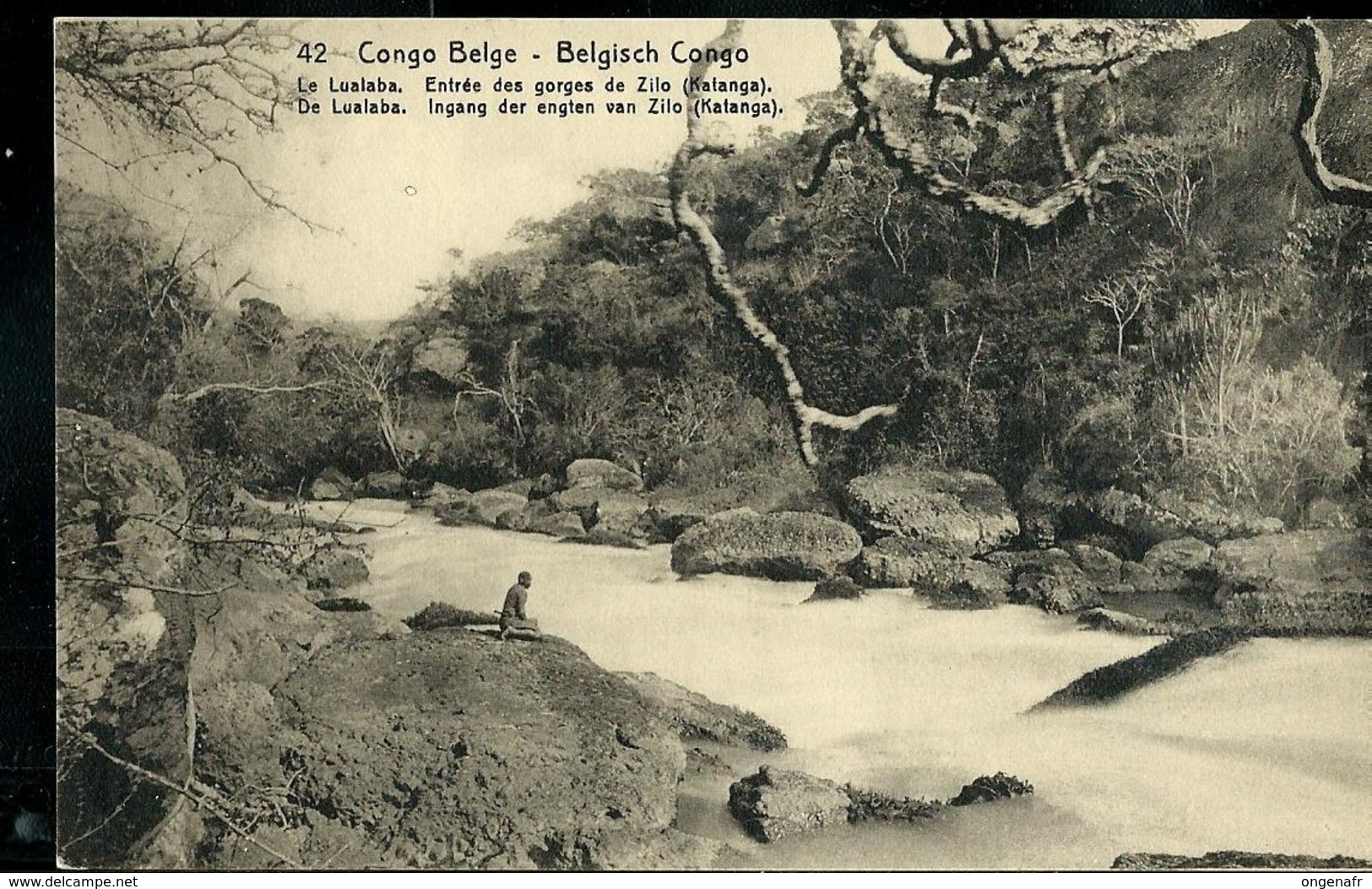 Carte N° 53. Vue 42. Le Lualaba . Entrée Des Gorges De Zilo (Katanga)  (carte Neuve) - Entiers Postaux