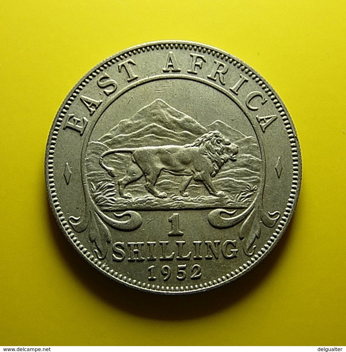 East Africa 1 Shilling 1952 - British Colony