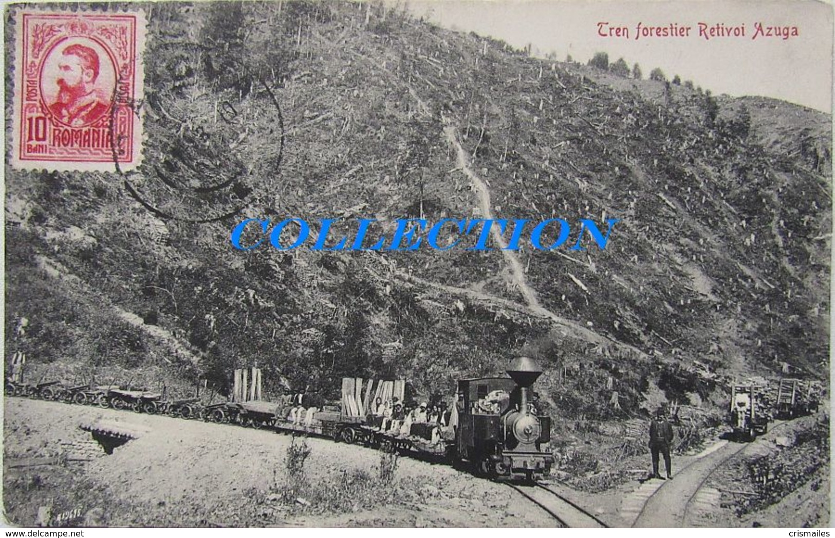 AZUGA - Retivoi 1910, TREN Forestier, Forest TRAIN, Timbru TCV, Very Rare - Roumanie