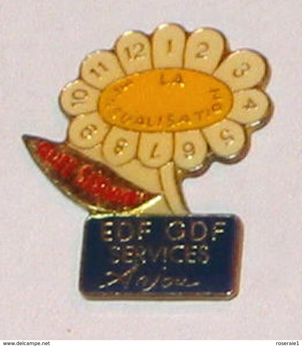 Pin's EDF GDF SERVICES, ANJOU - EDF GDF