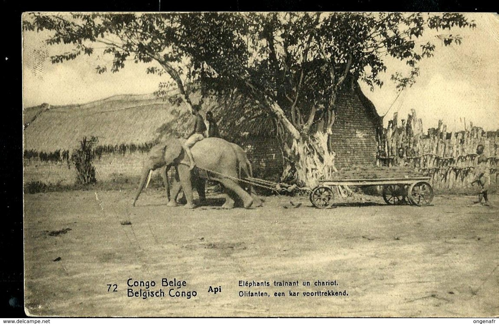 Carte N° 53. Vue 72. Api: Eléphants Trainant Un Chariot (carte Neuve) - Interi Postali