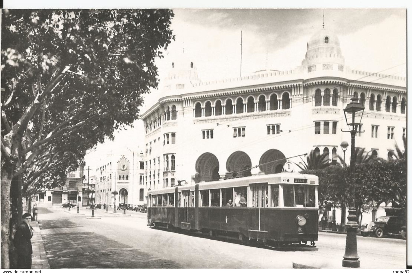 Photo  - Tramway à Alger -  Thème Transport - Algérie - Treni