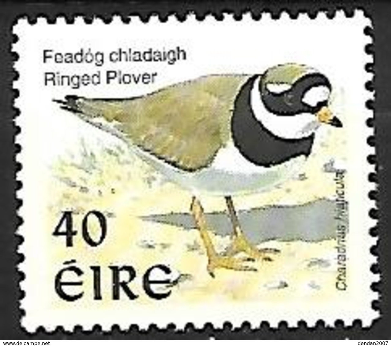 IRELAND - MNH - 1998 :  Common Ringed Plover  -  Charadrius Hiaticula - Other & Unclassified