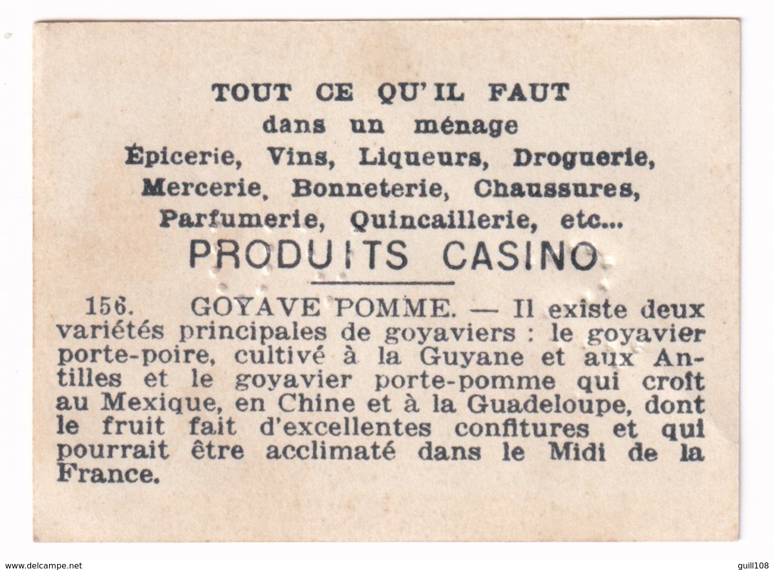 Image Années 1950 Casino Fruit Exotique Goyave Pomme Goyavier Mexique Chine Guadeloupe Apple Guava A31-9 - Other & Unclassified