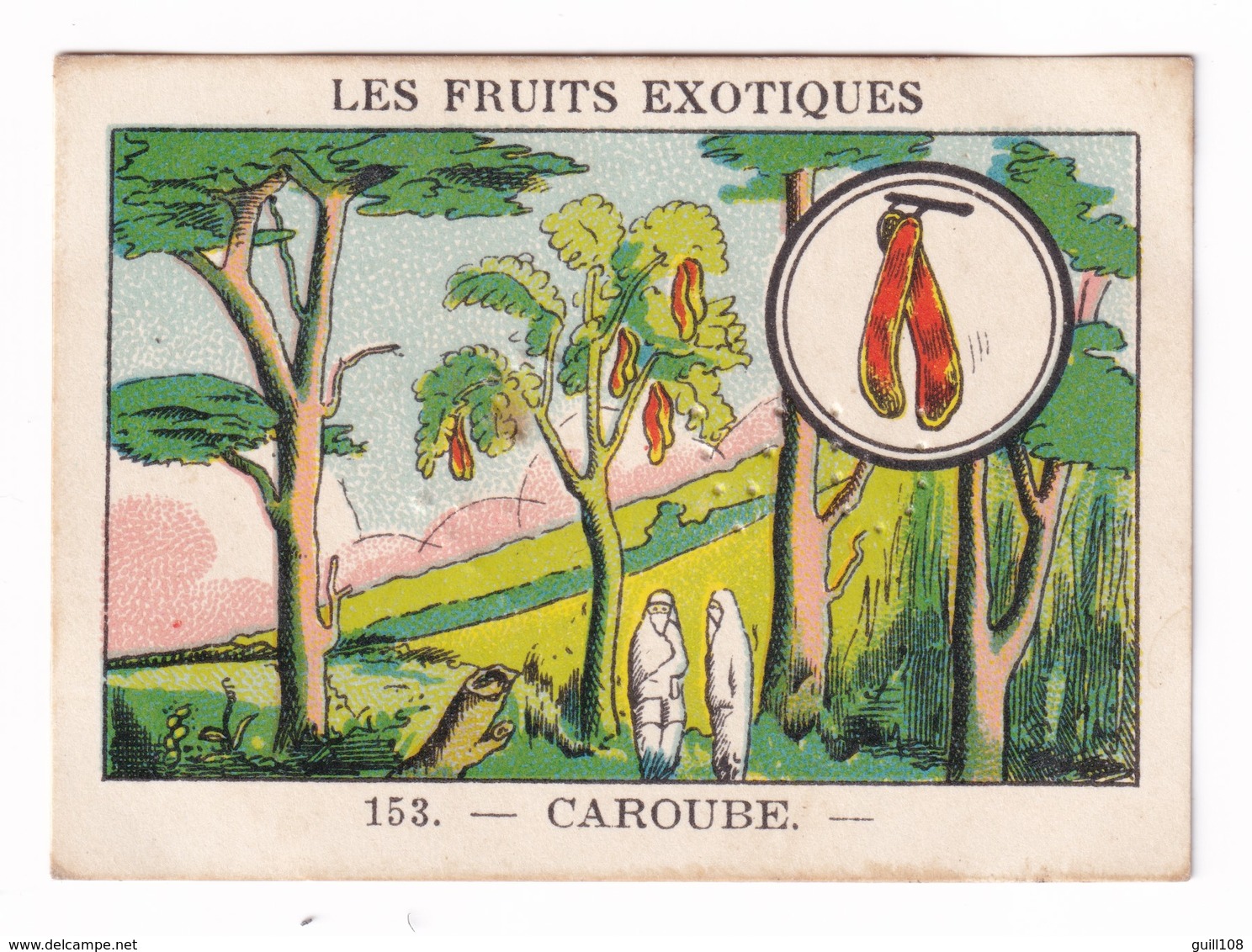 Image Années 1950 Casino Fruit Exotique Caroube Italie Espagne Algérie Caroubier Carob A31-9 - Altri & Non Classificati