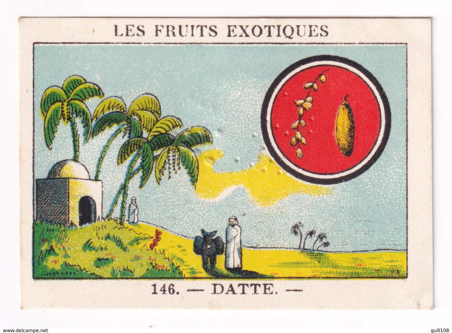 Image Années 1950 Casino Fruit Exotique Datte Date Dattier Sahara A31-9 - Other & Unclassified