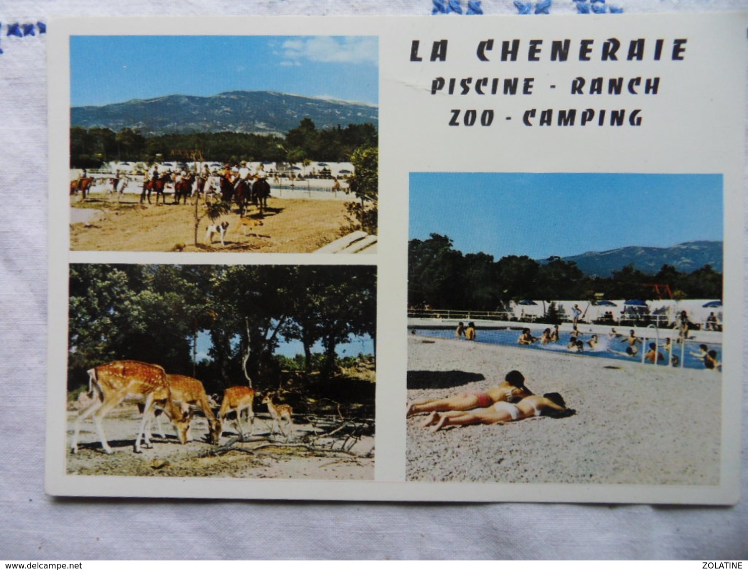 AZ6-LOT 12 CARTES POSTALES DIVERSES-VOIR SCANS