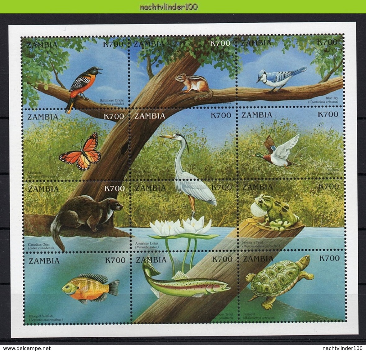 Nff201b FAUNA VISSEN VOGELS PAD BUTTERFLIES TOAD REPTILE TURTLE FISH OTTER DUCK CHIPMUNK BIRDS FISH ZAMBIA 1999 PF/MNH - Other & Unclassified