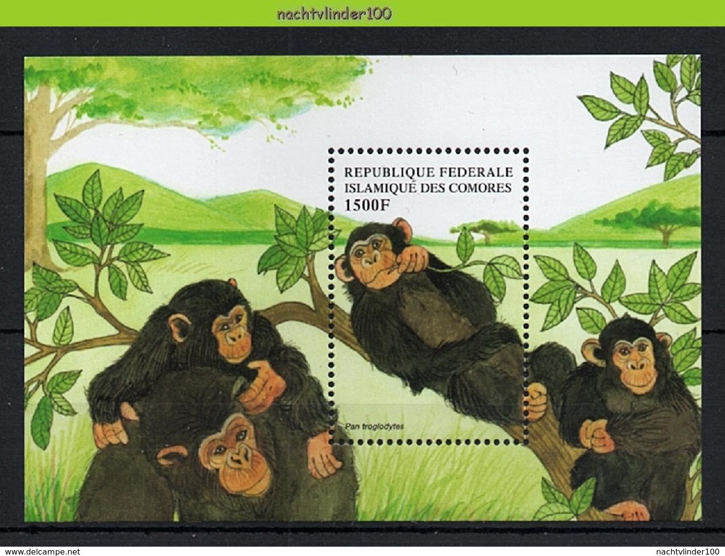 Nff204 FAUNA AAP APEN ZOOGDIEREN CHIMPANSEE MONKEYS MAMMALS APES AFFEN SINGES COMORES 1999 PF/MNH - Chimpanzés