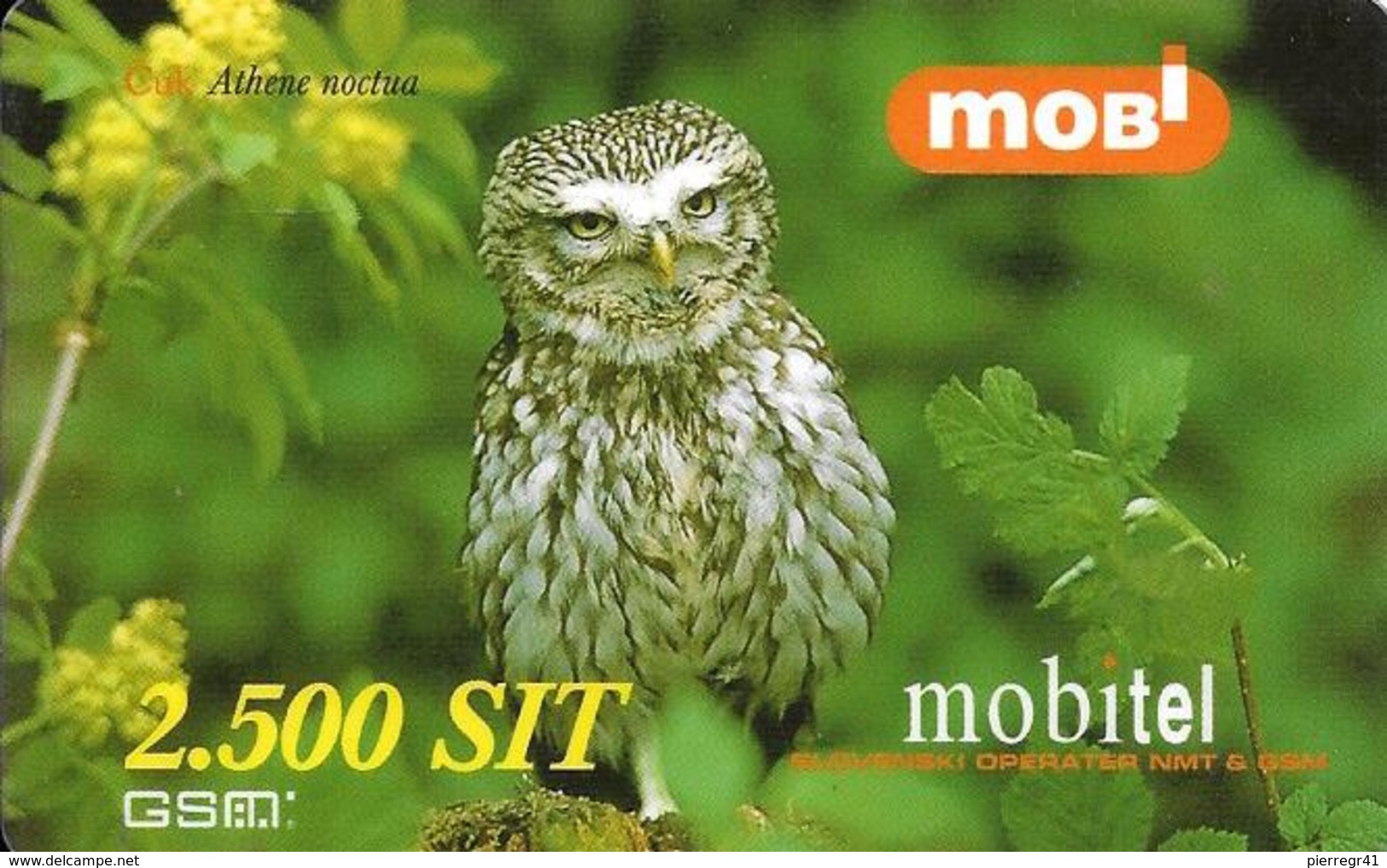 CARTE-PREPAYEE-2001-GSM-MOBITEL-SLOVENIE-2500 Sit-CHOUETTE CHEVECHE-TBE-RARE - Eagles & Birds Of Prey