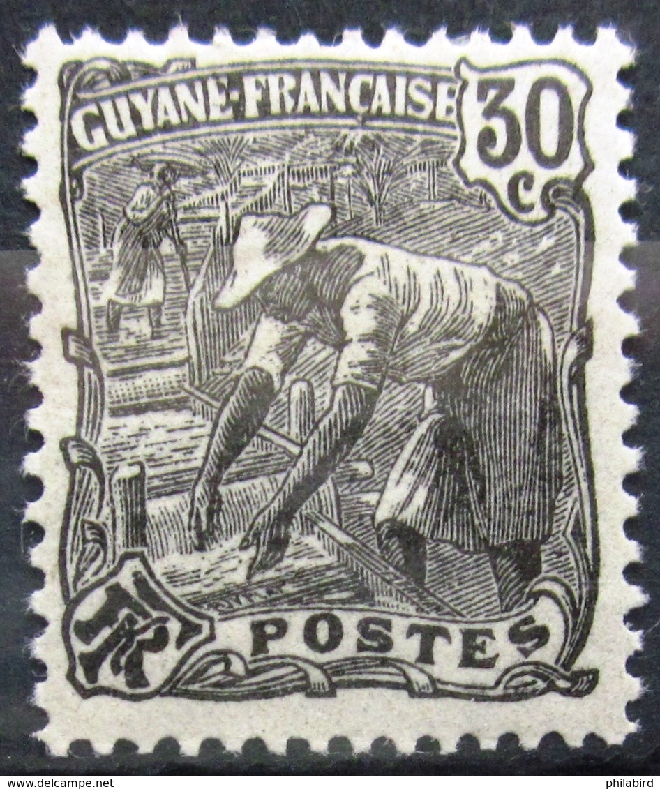 GUYANE                         N° 57                    NEUF* - Unused Stamps