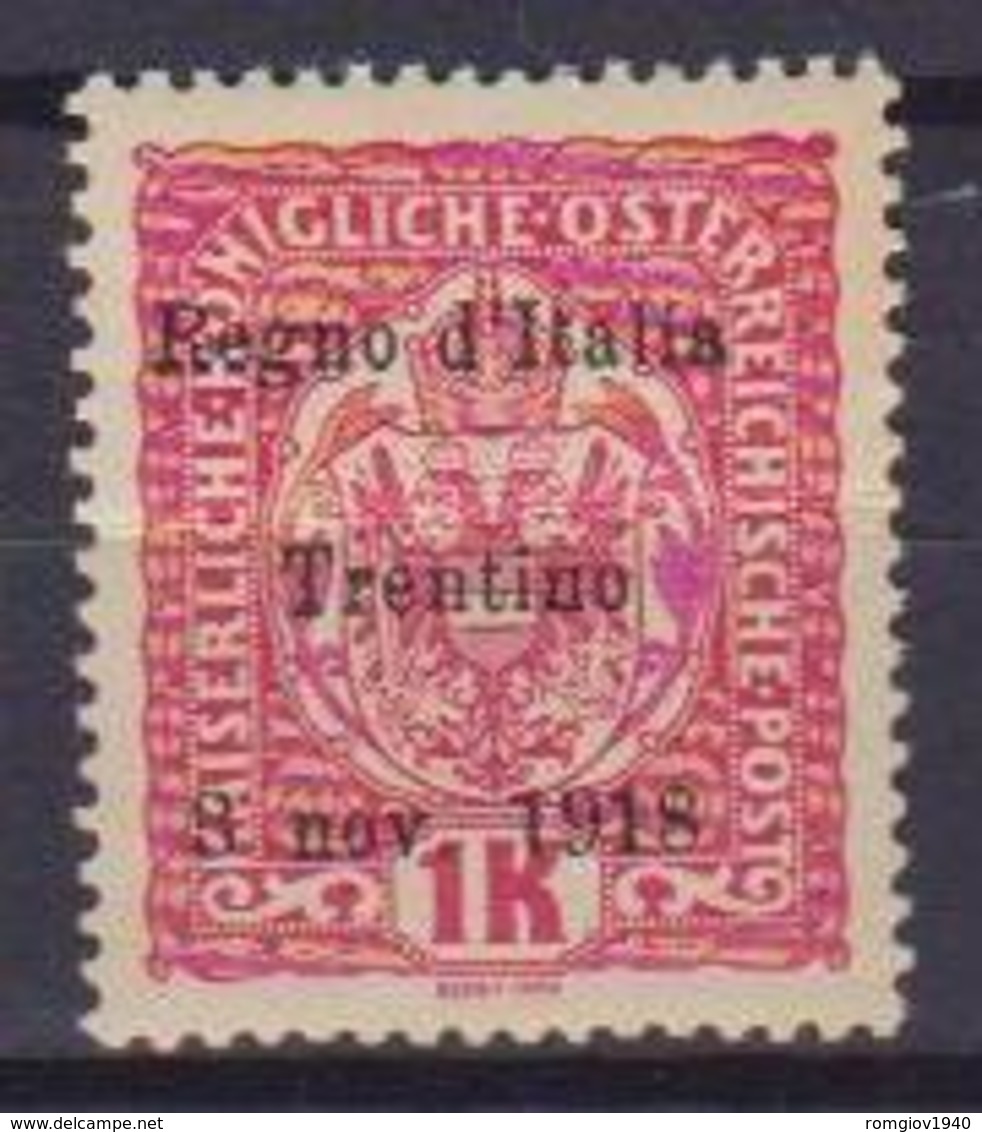 TRENTINO ALTO ADIGE 1918 SOPRASTAMPATI SASS. 15 MLH VF (PICCOLA PIEGA) - Trentino