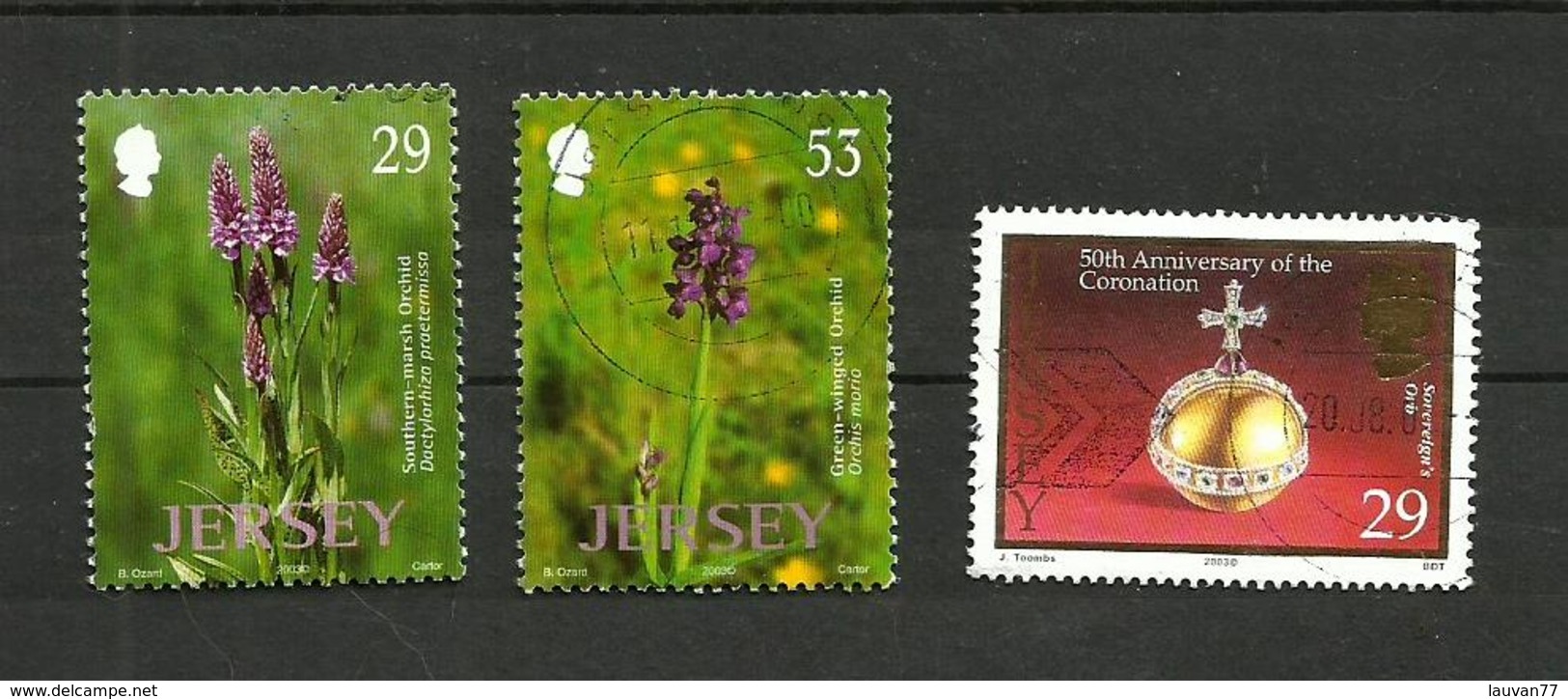 Jersey N°1102, 1104, 1109 - Jersey