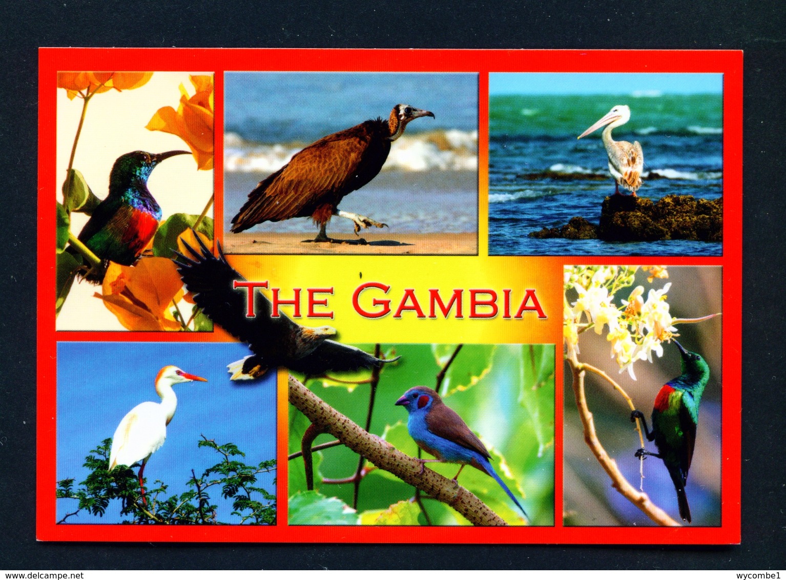 GAMBIA - Birds Multi View Used Postcard As Scans - Gambia