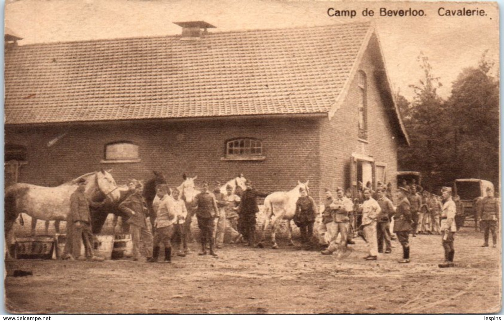 BELGIQUE - BEVERLOO - Camp - Cavalerie - Beringen