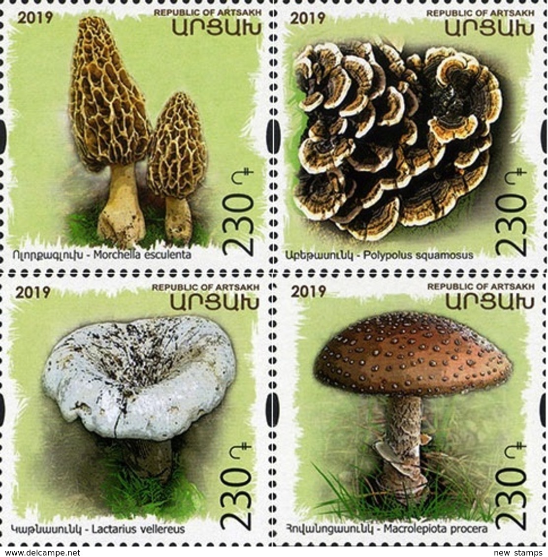 Nagorno Karabakh Armenia 2019 Flora Mushrooms 4v MNH - Mushrooms