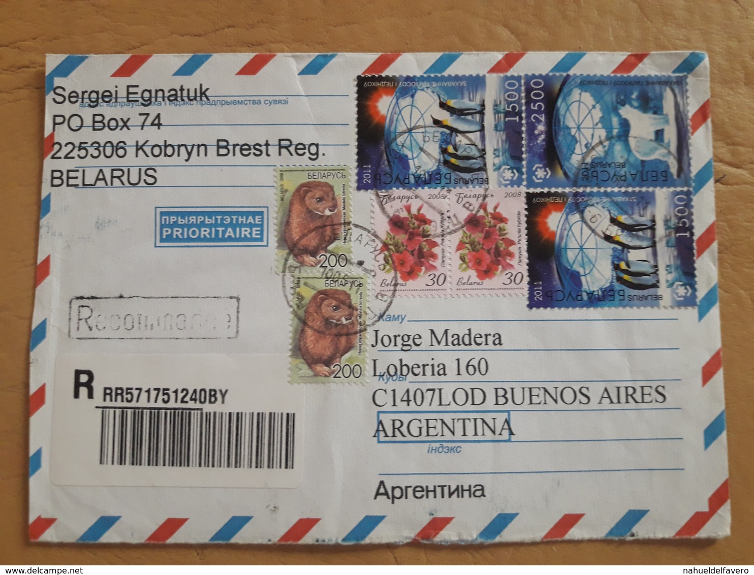 Enveloppe De La Biélorussie Envoyée En Argentine Avec Un Pingouin, Un Ours Polaire Et D'autres Timbres - Bielorrusia
