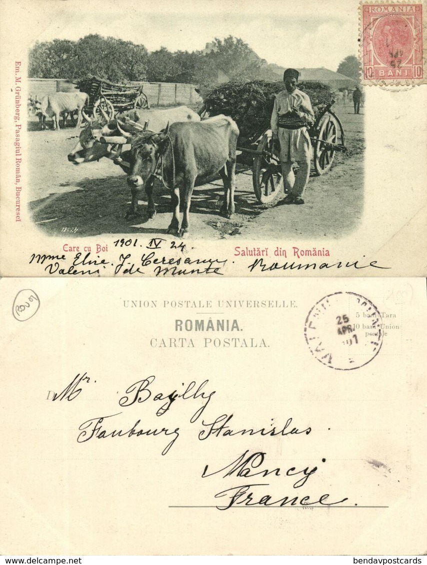 Romania, Salutări Din Romănia, Care Cu Boi, Ox Cart (1901) Greetings Postcard - Roemenië