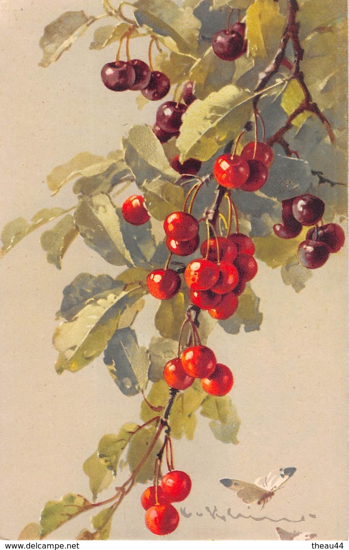 ¤¤   -   Illustrateur " KLEIN "  -  Fruits  -  Cerises  -  Papillon      -   ¤¤ - Klein, Catharina