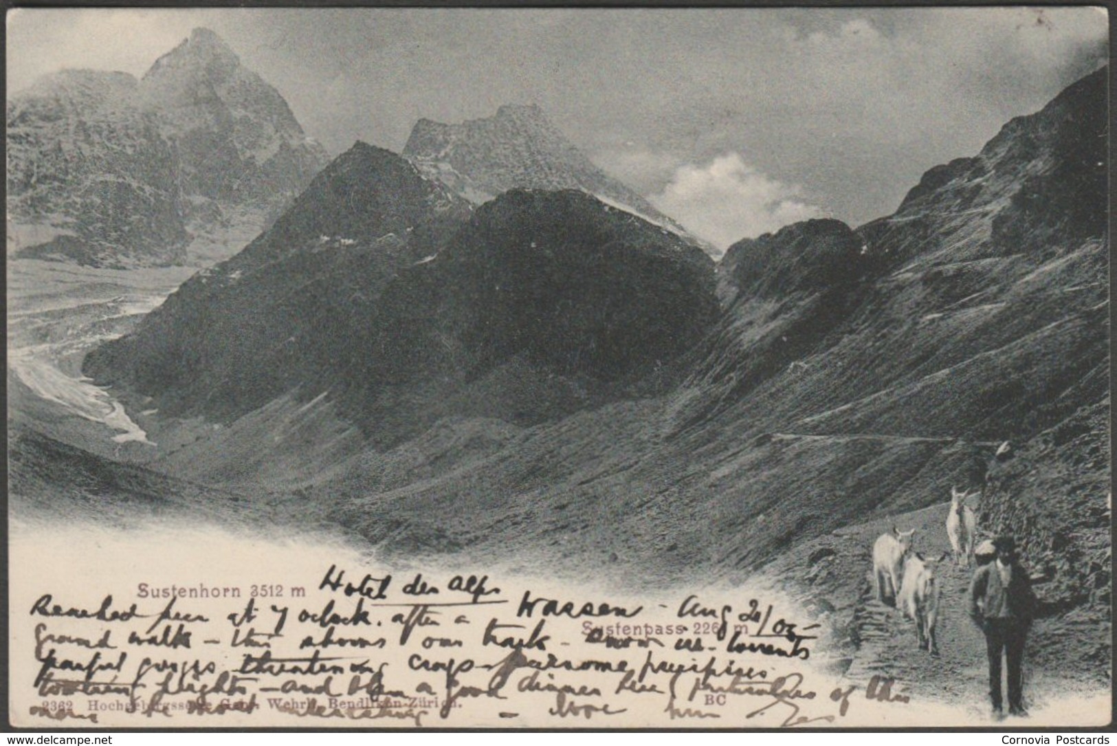 Sustenhorn Und Sustenpass, Bern, 1905 - Wehrli AK - Bern